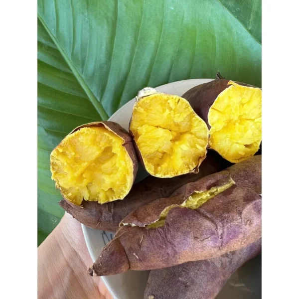 Loại 1 – Size S (70–150g/củ) – 3kg/Thùng – Khoai Lang Nhật Xuất Khẩu - Ruột Vàng Dẻo Ngọt